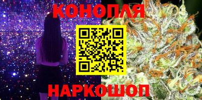 прущие грибы Можайск