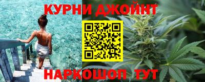 прущие грибы Можайск