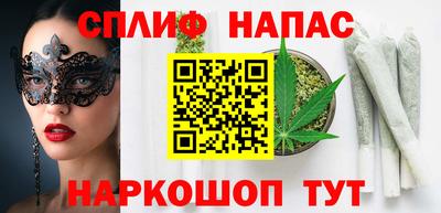 прущие грибы Можайск