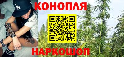 индика Нальчик