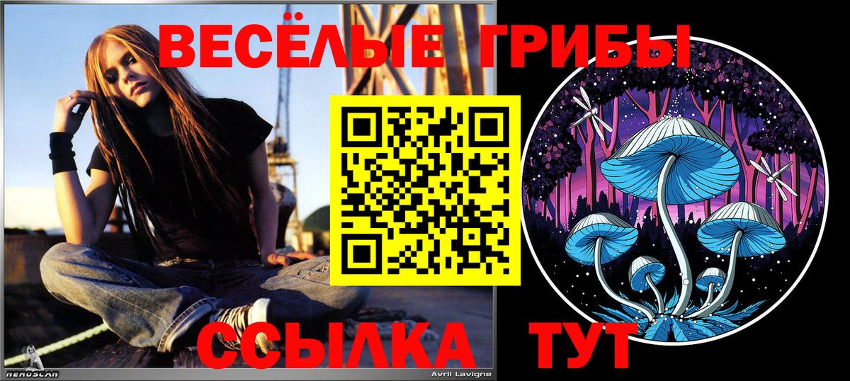 Галлюциногенные грибы GOLDEN TEACHER  Вход с VPN  Видное 